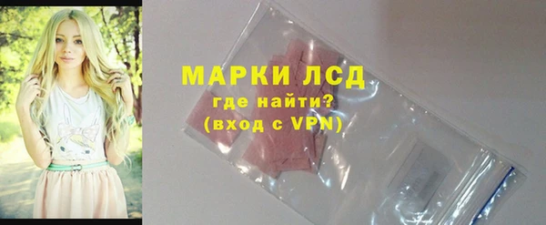 спиды Магас